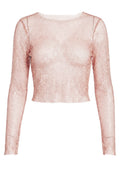 Blush Sheer Mesh Long-Sleeve Top - view 1
