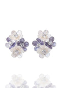 Altavalle Earrings — Silver