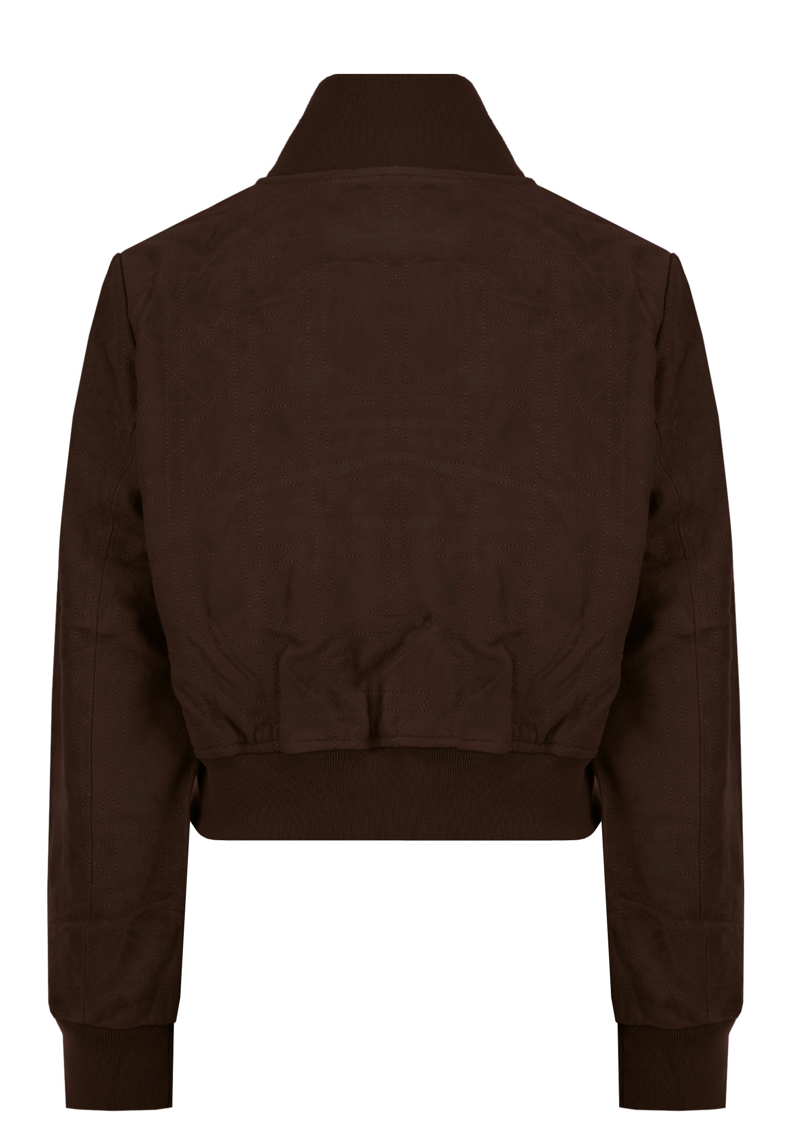 Landiona Bomber Jacket — Dark Brown